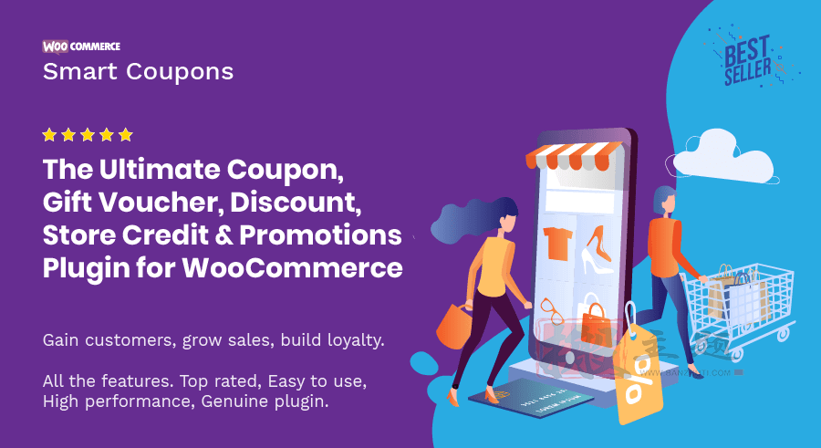 WooCommerce Smart Coupons 9.64.0完美汉化中文版|WooCommerce优惠券自定义设计WordPress插件插图