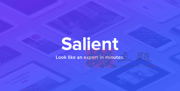 Salient 14.0.2汉化中文版|创意酷炫多功能响应式WordPress主题模板插图