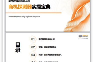 亚马逊官方选品工具教程——商机探测器实操宝典